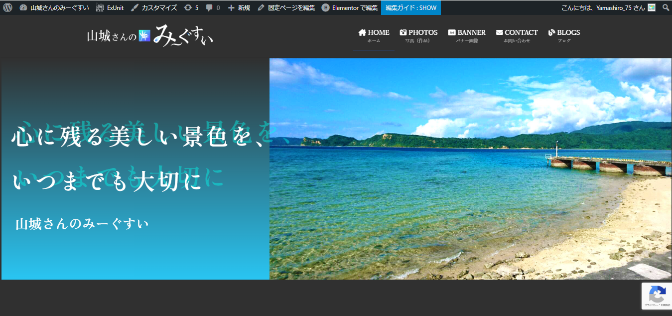 山城さんのみーぐすい